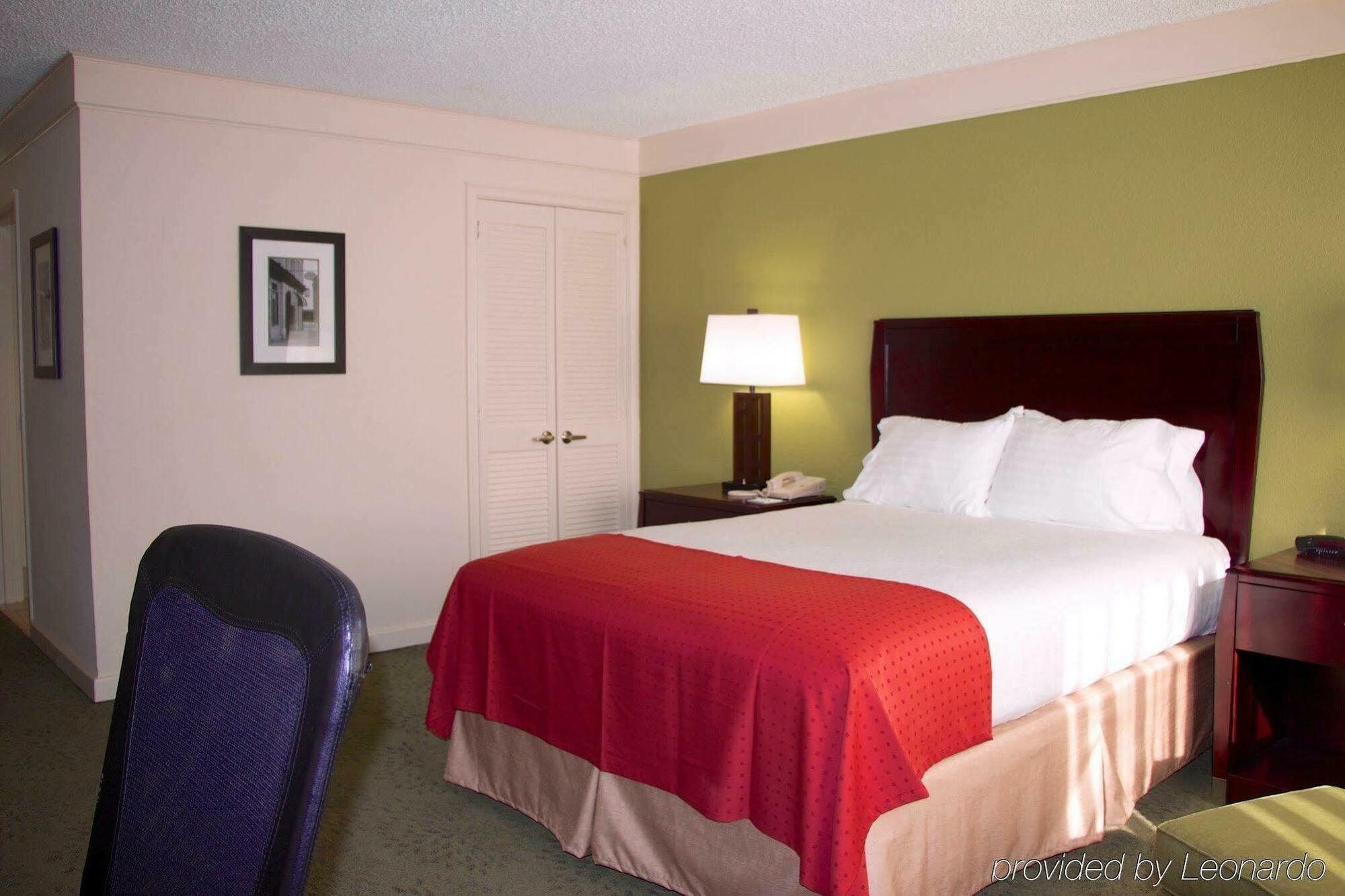 Holiday Inn Athens - University Area Экстерьер фото